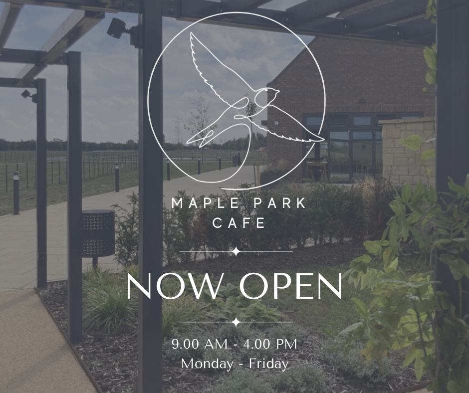 Maple park cafe opening